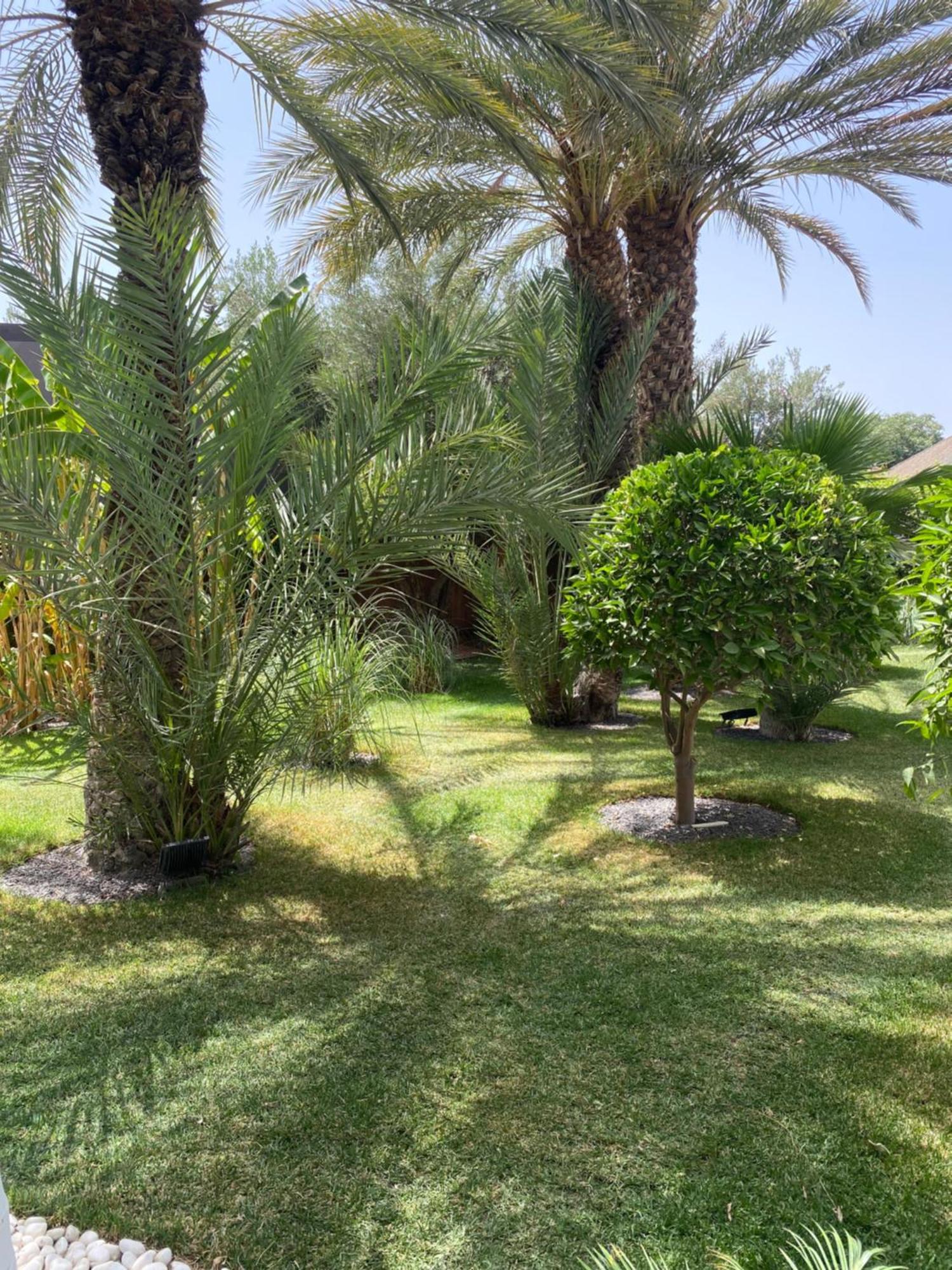 Villa Mano Lagouassem المظهر الخارجي الصورة