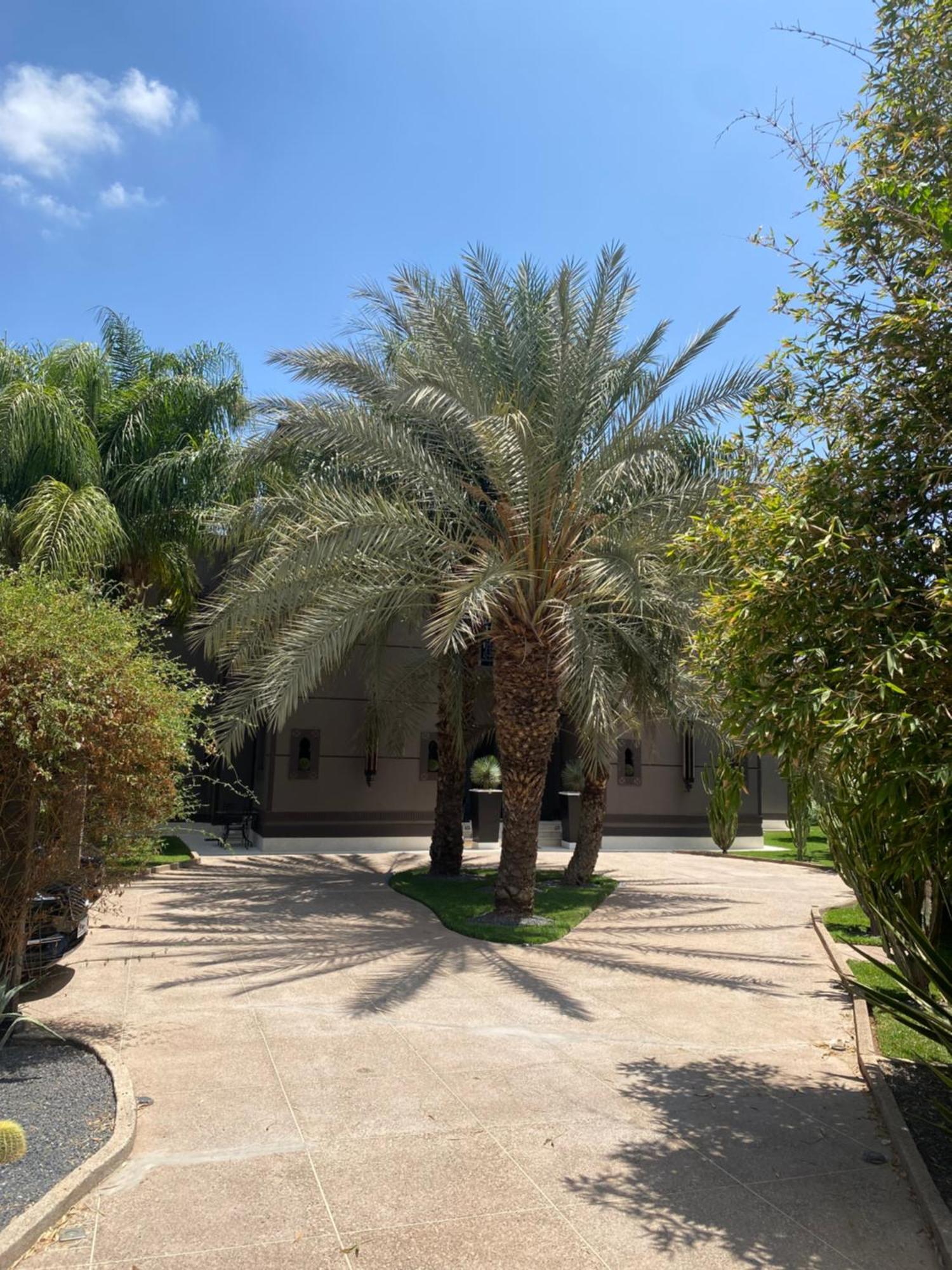 Villa Mano Lagouassem المظهر الخارجي الصورة