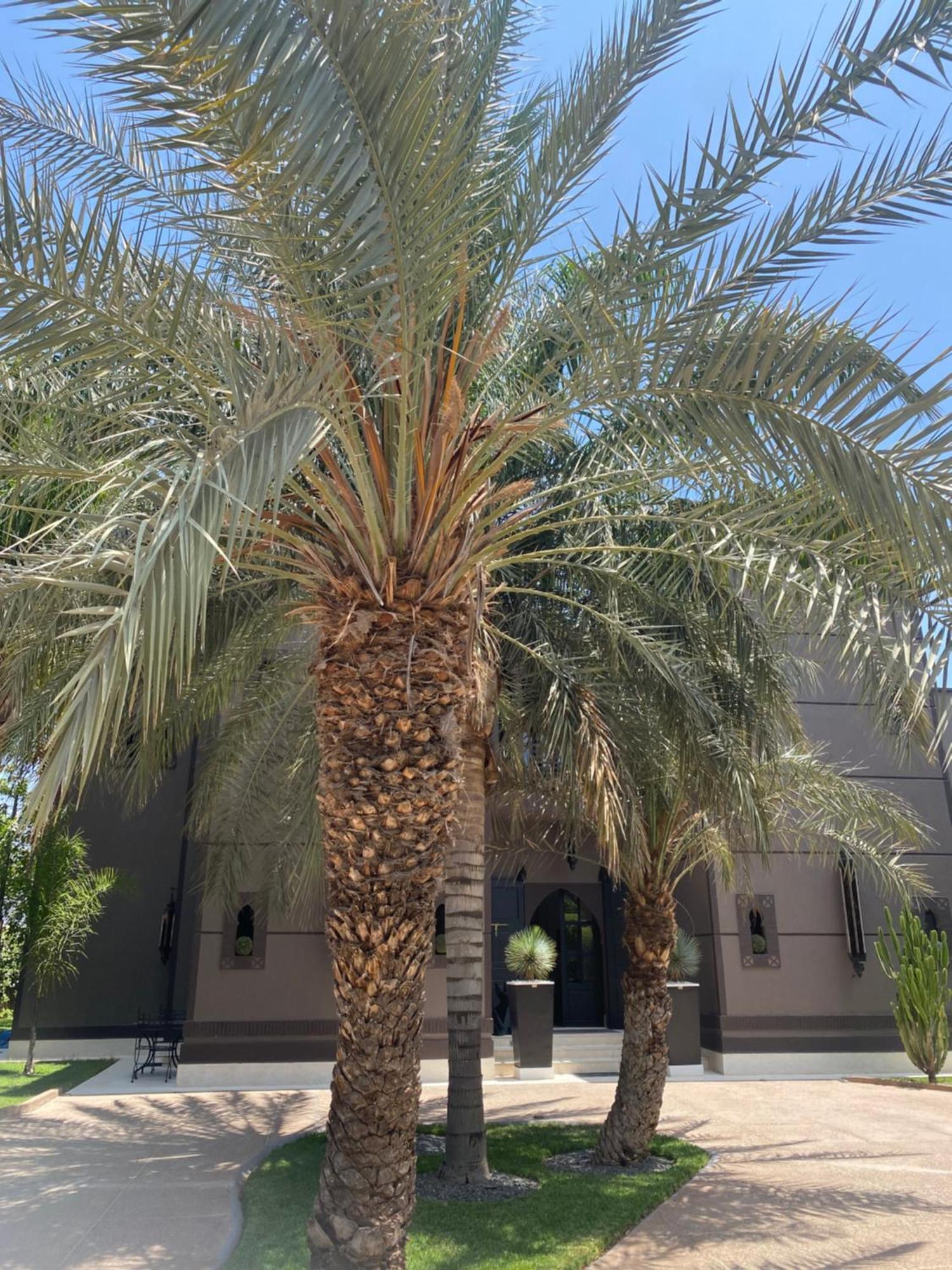 Villa Mano Lagouassem المظهر الخارجي الصورة