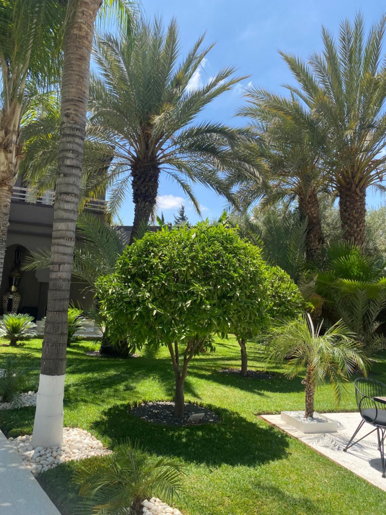 Villa Mano Lagouassem المظهر الخارجي الصورة